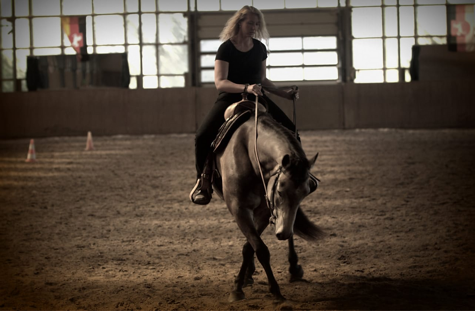 IMG-20190126-WA0007_edited
