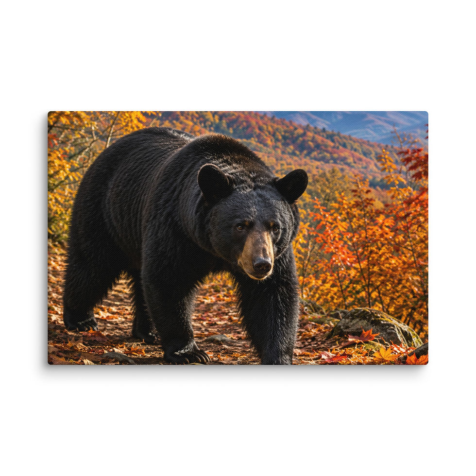 Thumbnail: Hank the Bear Fall Smoky Mountains Canvas Print | Black Bear Wall Art