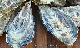 pacific oyster.JPG