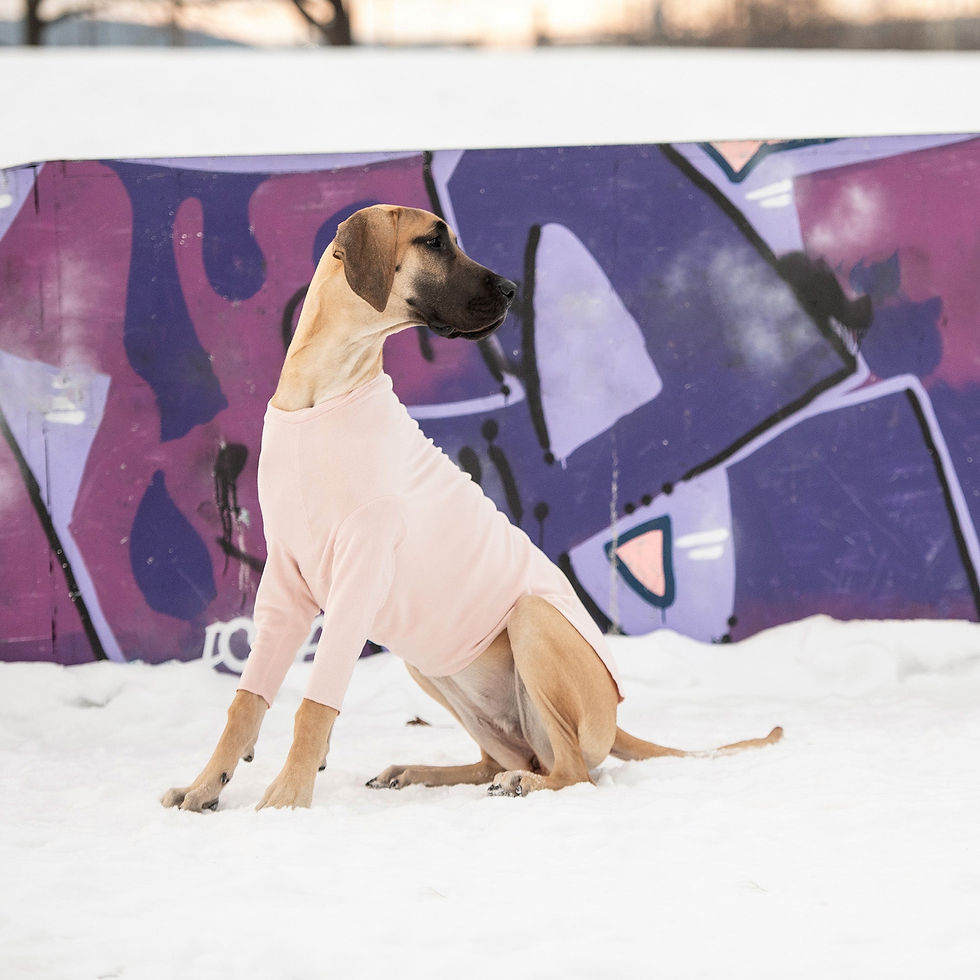 Thumbnail: Gondola Base Layer - Pink