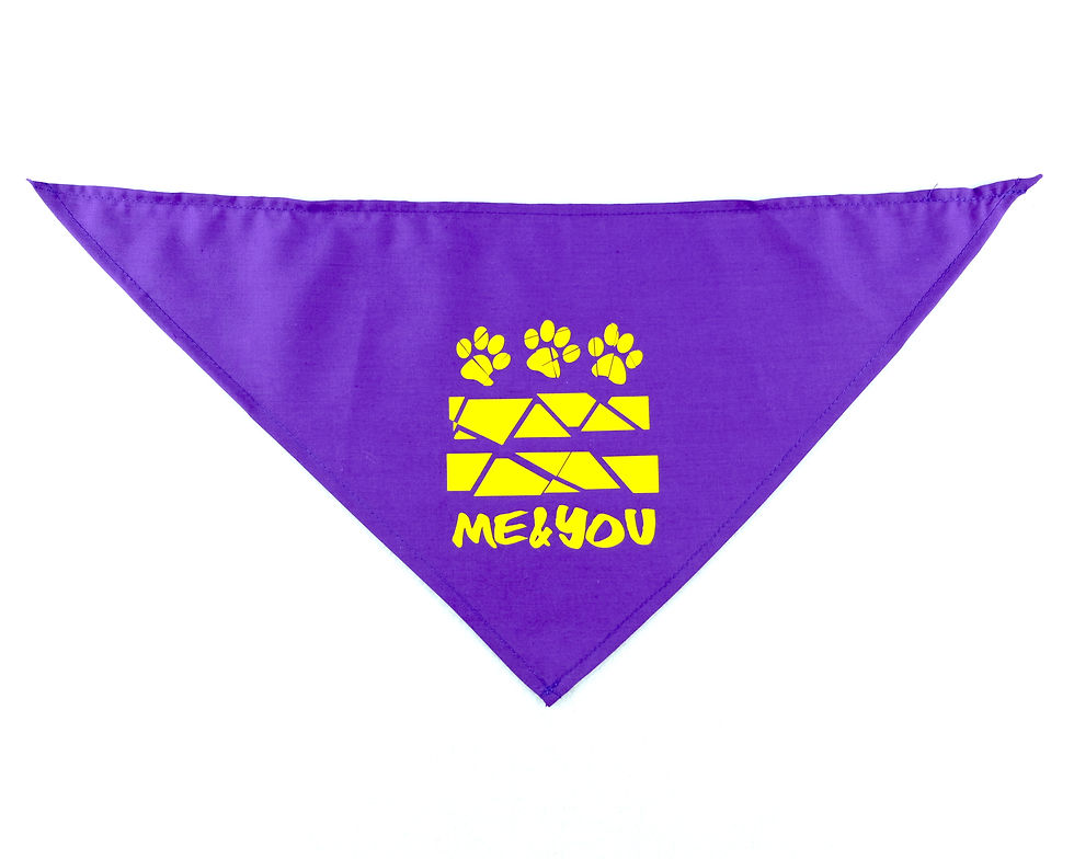 Thumbnail: Me & You Pet Bandana