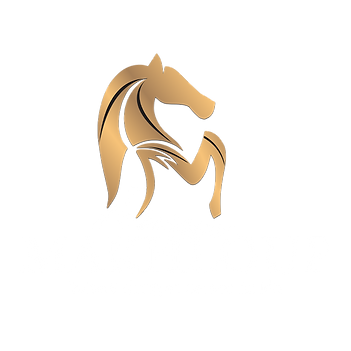 new logo 1 png.png