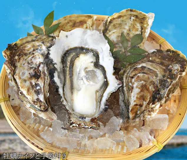 伊勢鳥羽志摩特産横丁