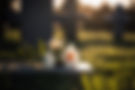 vecteezy_funeral-flowers-presented-upon-a-coffin-at-the-event-of_15617766.jpg
