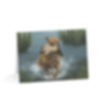 Greeting Cards (1, 10, 30, and 50pcs)