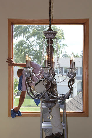 technician cleaning window on a tall ladder, fully insured
