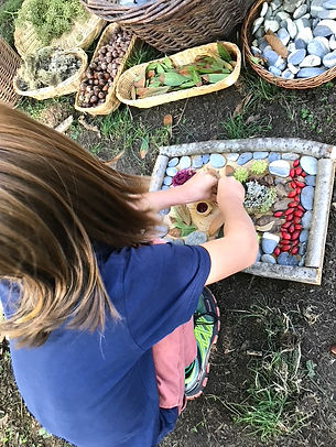 6D41866F-2F3D-41B2-B1F6-C9AEF70C2B50_1_1