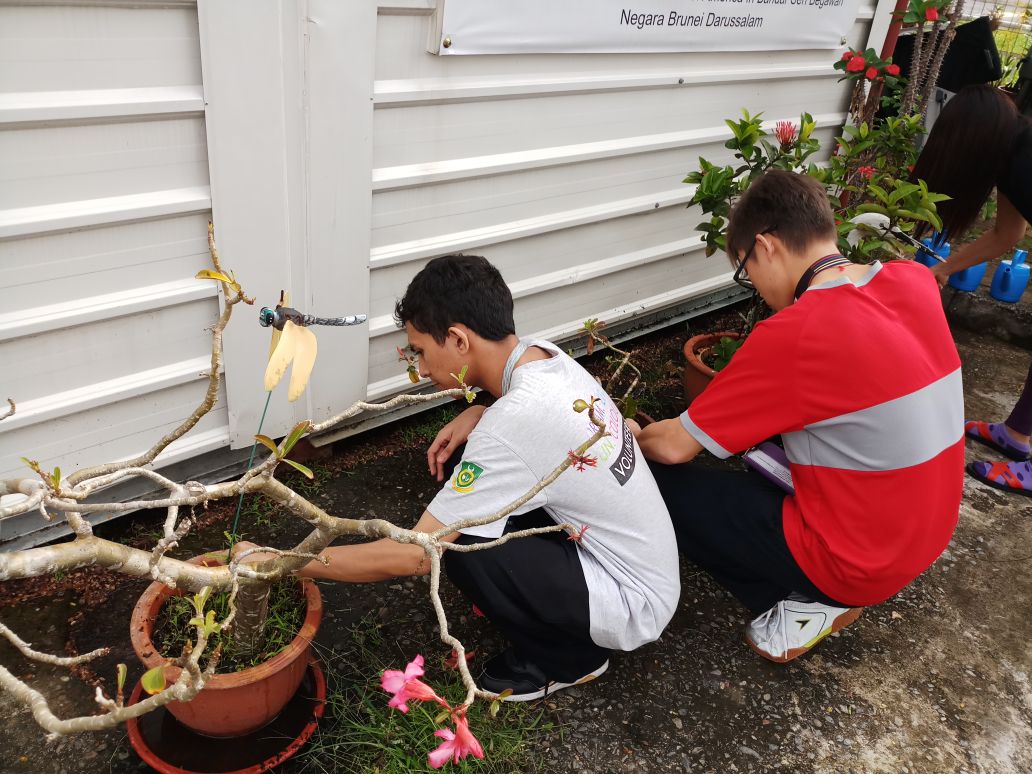 HOME GARDENING