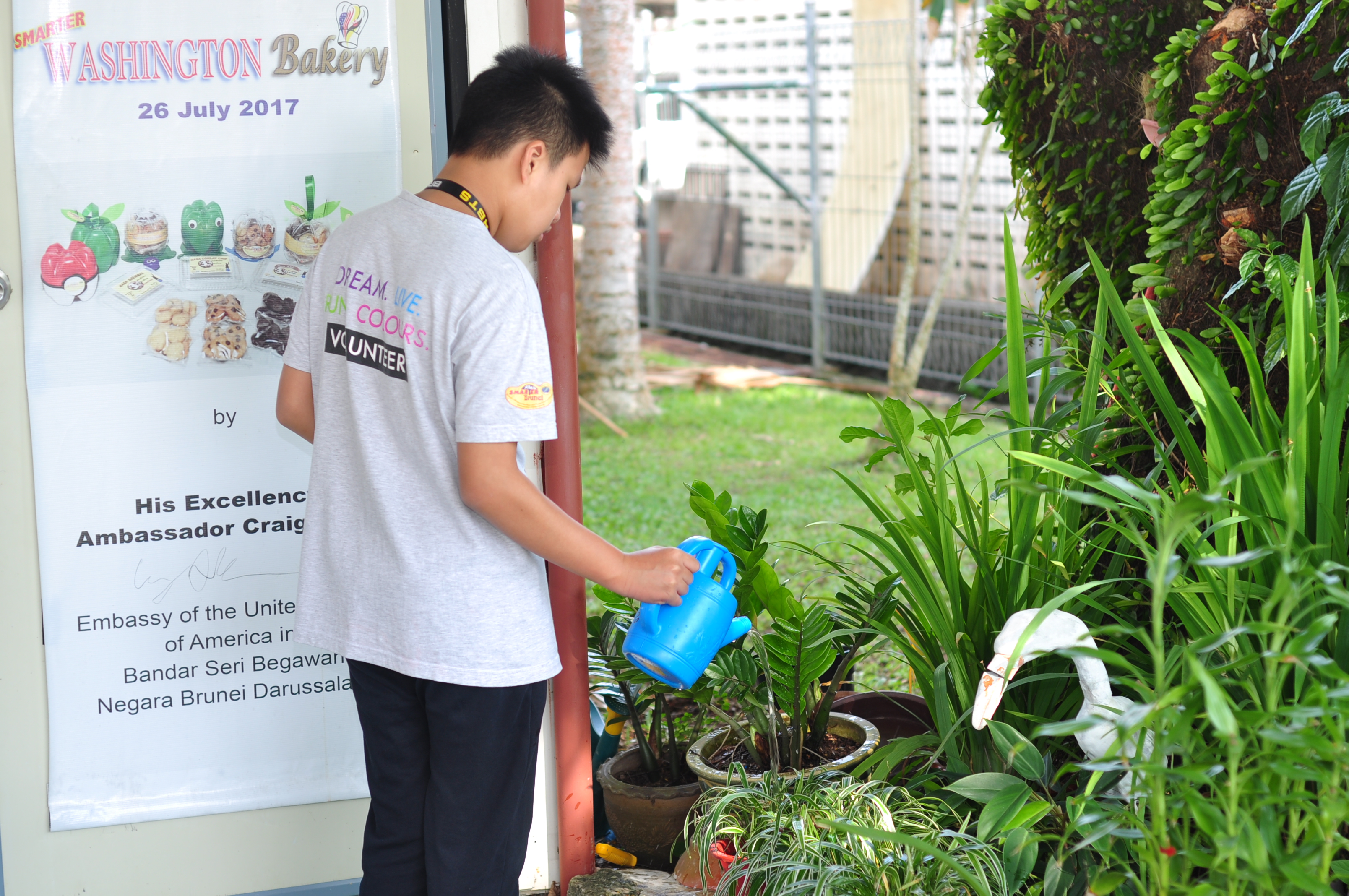 HOME GARDENING