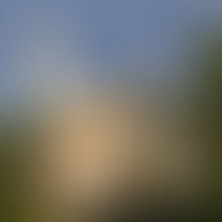 Những và nhà thờ đẹp nhất ở Israel