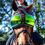 Thumbnail: eQuick eVysor eye protection for your polo ponies