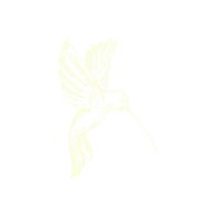 hummingbord.png