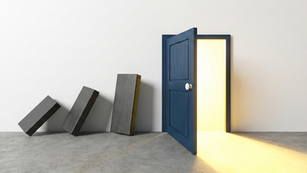 Evolving Door