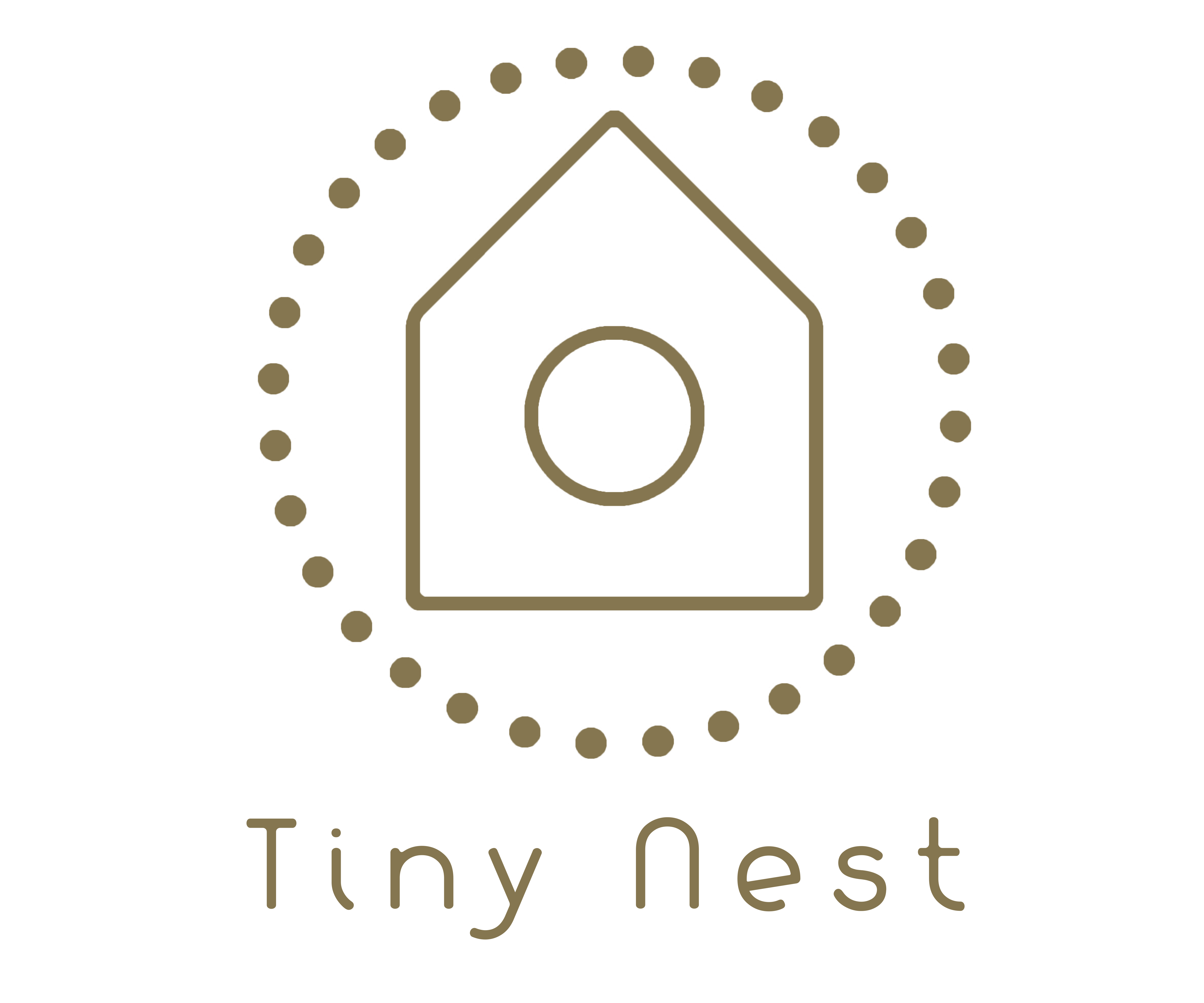 Chrysalide et Papillon