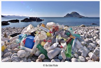 Plastic waste initiative launched by food and beverage giants