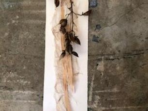 “Wall Hanging for Lillie’s Party” (bark, seed pods, branch, handmade paper)