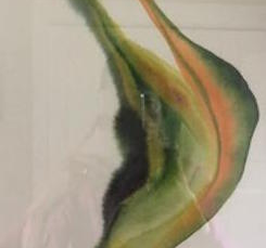 “Energy” (watercolor)