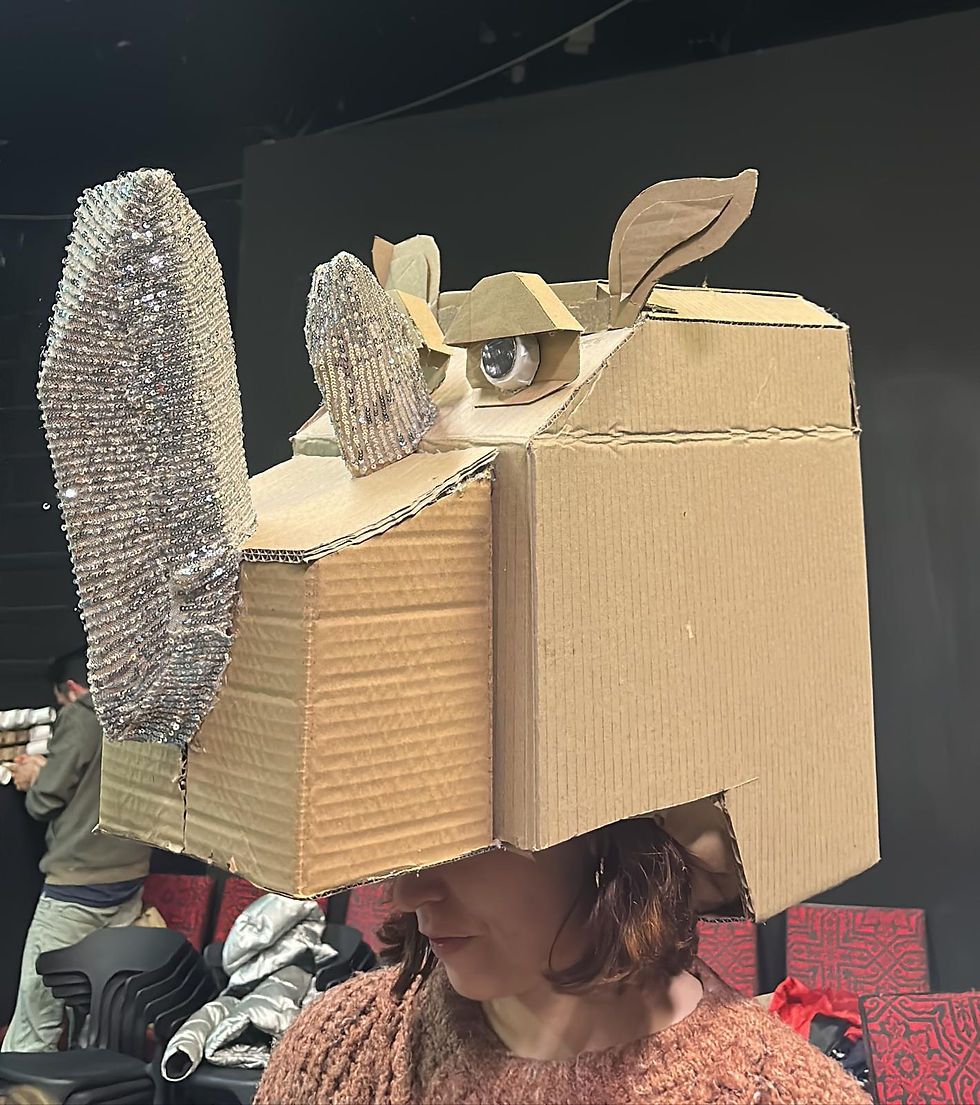 DISSENY ARTÍSTIC I CONSTRUCCIÓ