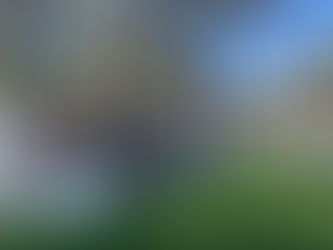 Establishment of Pacific Blue Wave Co., Ltd. Las Vegas Branch on July 8, 2025