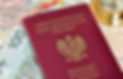 Polish passport.jpg