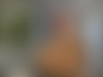 Torosocial y Arena Servisanit impulsan unas jornadas para profesionalizar los servicios médicos en festejos taurinos populares