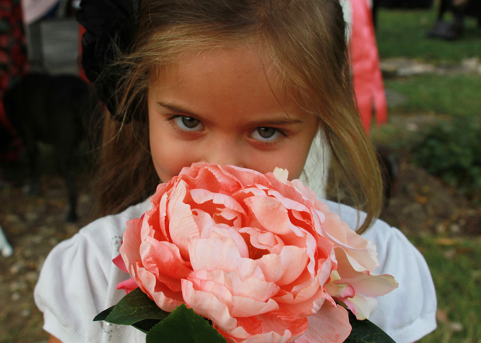 IMG_1955_edited-1