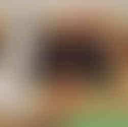 黒炭切炭の部 優秀賞受賞作品