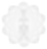 yaima%20logo-02%20(1)%202_edited.png