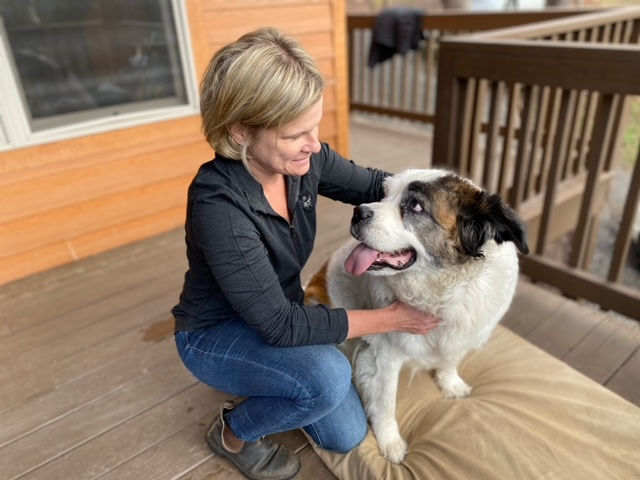 Rejuvenate services incorporate a variety of modalities to provide your equine or canine with the best experience. Sports massage therapy helps keep equine and canine athletes performing at their best, and animals of all breeds, ages, and activity levels can benefit from massage therapy