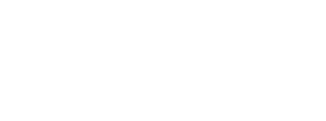 Appia-Ventures-logo-(white)+.png
