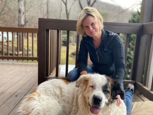 The Rejuvenate gallery showcases a portfolio of my work helping equine and canines rejuvenate their muscles and bodies through the careful practice of sports massage therapy. I have helped dozens of animals recover or prepare for sporting events. We take great pride in the work we do.”