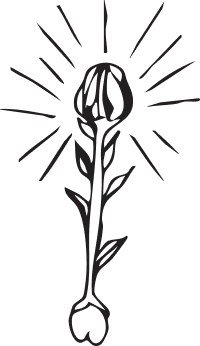 PhotographieJennifer Dewavrin, artiste, photogra intuitive révélant la transformation intérieure d’une femme par le mouvement