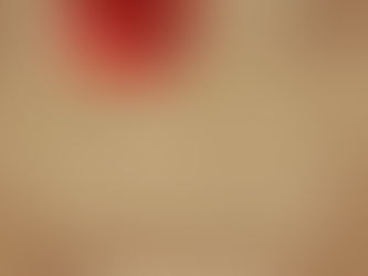 Poppy Appeal: Rembrance Day