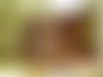 Czy warto budować z drewna, czy lepiej wybrać inny materiał?