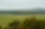 Pea Ridge 01.jpg