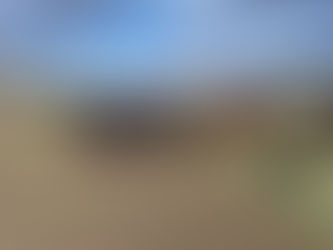 Calving Season Comes To A Close