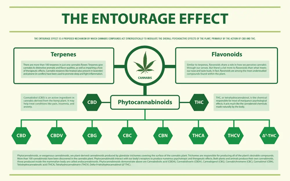 The-Encourage-Effect.webp