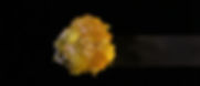 B770A871-FA41-446E-9938-A8345F018EED.jpe