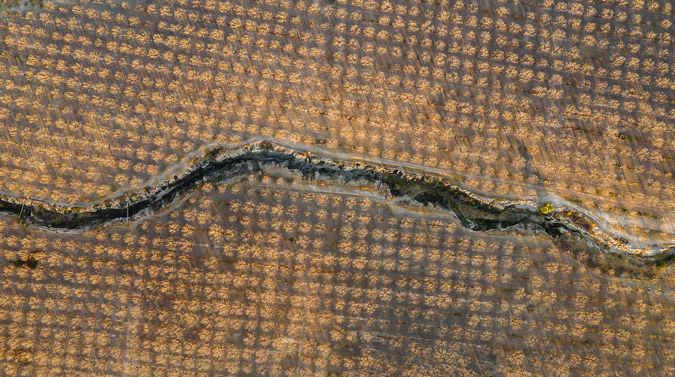 Captura de pantalla 2025-06-11 a la(s) 14.23.47.png