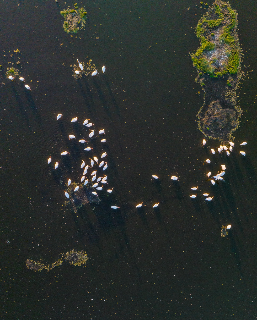 Captura de pantalla 2025-06-11 a la(s) 14.18.25