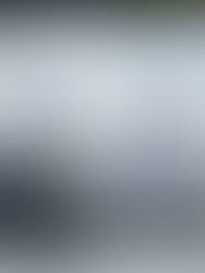 ⚜️ミスター・立教