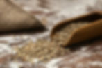 spoon-ingredients-full-flour~2.jpg