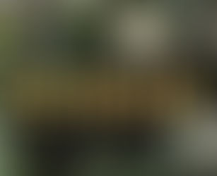 EL BOTÓN DE TU VAQUERO LANZA SU PRIMER EP "CURSIS"