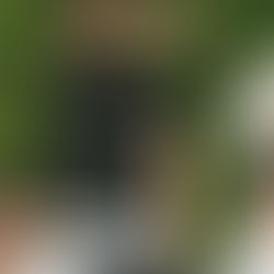 CUENTOS BORGEANOS "SIN TIEMPO NI FINAL"