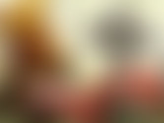 LOS TIPITOS JUNTO A JARABE DE PALO CON "BRUJERÍA"