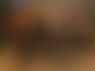 LOS PERICOS CON  “AMOR BONSAI” JUNTO A EL PLAN DE LA MARIPOSA