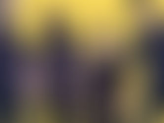 EL PRIMER ÁLBUM DE SKINNYS