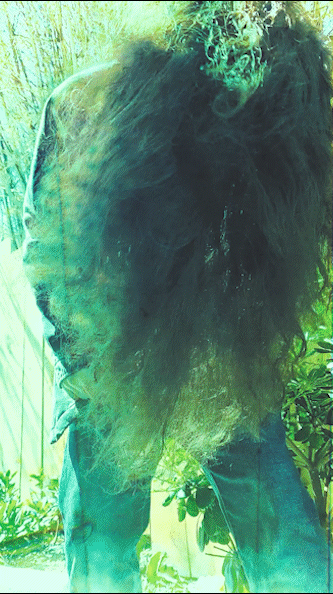 Cizflow 400 CANVAS gif.gif