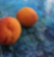 Abricots