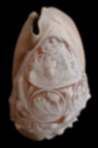 conchiglia.jpg